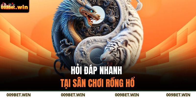 Hỏi đáp nhanh tại sân chơi Rồng Hổ
